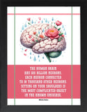 Framed Wisdom Posters - Positive Quotes Wall Art for Mental Health & Therapy - Home Office Decor Self Love Prints (AMORE, 7" L x 5" W, Framed)